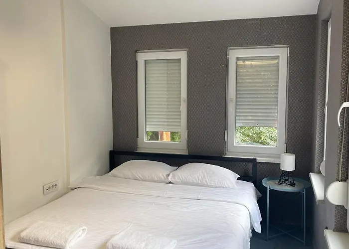 Hedonist-boulevard Stayhouse *